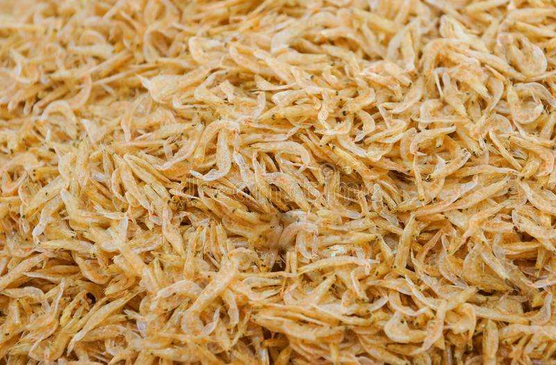The Ultimate Guide to Ornamental Shrimp Breeding: Best Foods and Habitat Setup
