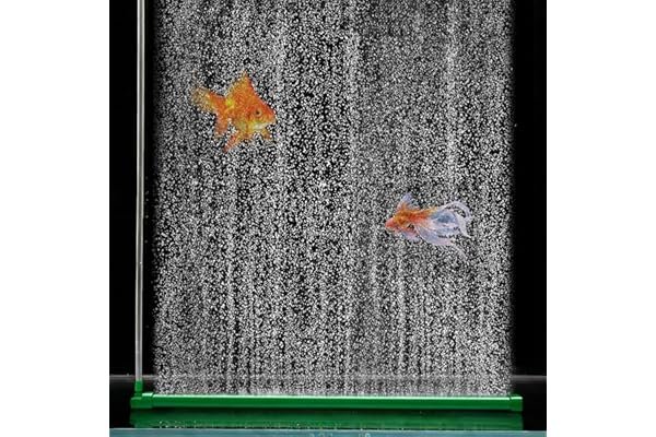 Easy-Grow Aquatic Grass Carpet Seeds - Lush Green Aquascaping